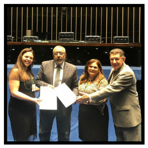 audiencia paim